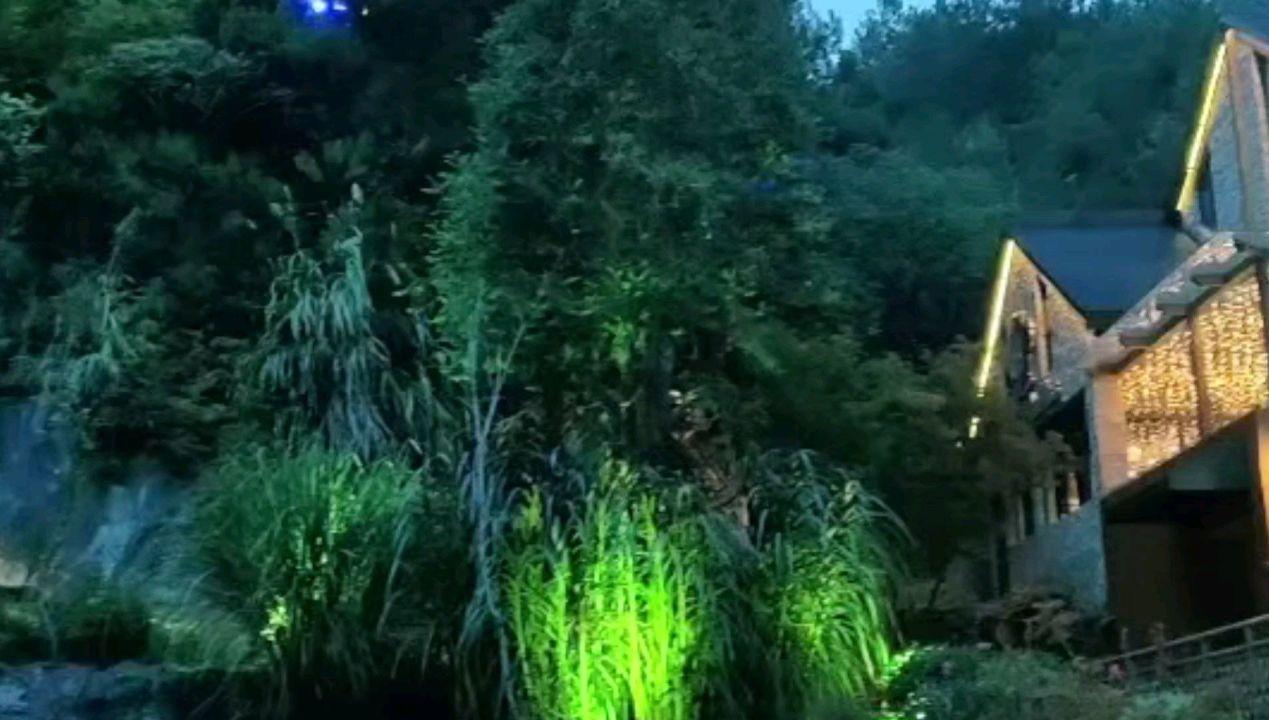 茶叶贸易如日中天，容闳突然放弃，与曾国藩见面理想如何实现？